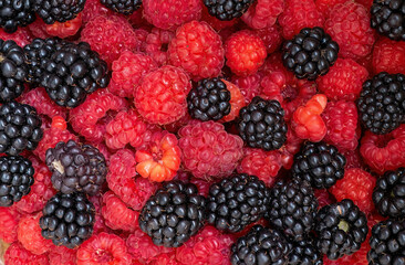 Fresh Raspberries and Blackberries Background