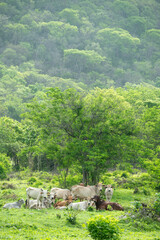 Cuautitl&aacute;n de Garc&iacute;a Barrag&aacute;n
