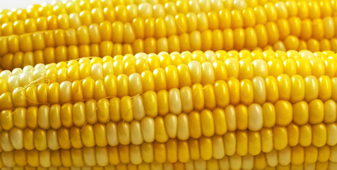 Close up of boiled corn
