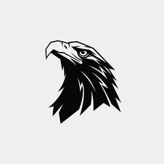 Obraz premium Eagle Head Illustration Strong and Majestic Animal Portrait in Black and White