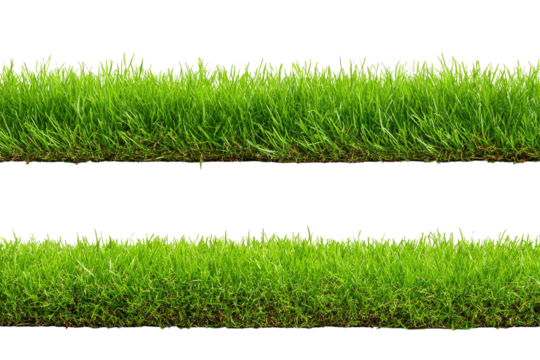 Two horizontal bands of vibrant green grass against a black background.  Close-up view of blades, showing texture and density