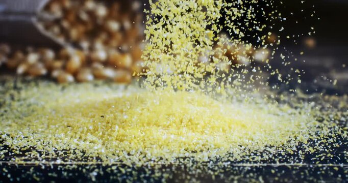 Super slow motion close-up of organic corn kernels and cornmeal grains falling for quality control on rustic wooden table, with raw corn cobs in the background in rural farmland at 1000fps.