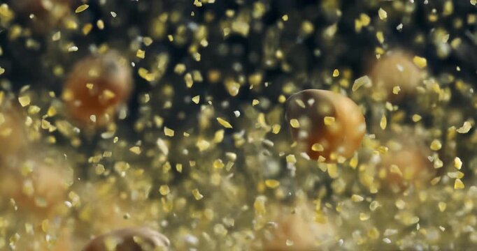Front view of raw corn kernels jumping during grinding process with cornmeal and polenta. Slow motion macro footage symbolising maize milling.