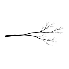 Bare branch with yellow accents against black isolated on a transparent background tree twig