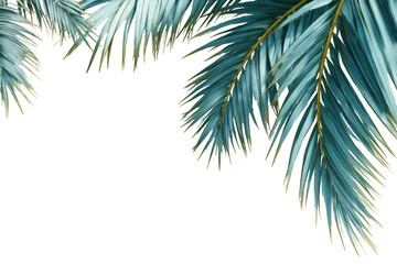 Teal palm fronds frame a dark background.  Fine, detailed fronds in teal-green with golden highlights create an elegant, tropical border