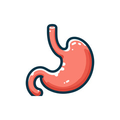 Illustration of a human stomach, showcasing its anatomical structure in a simplified style