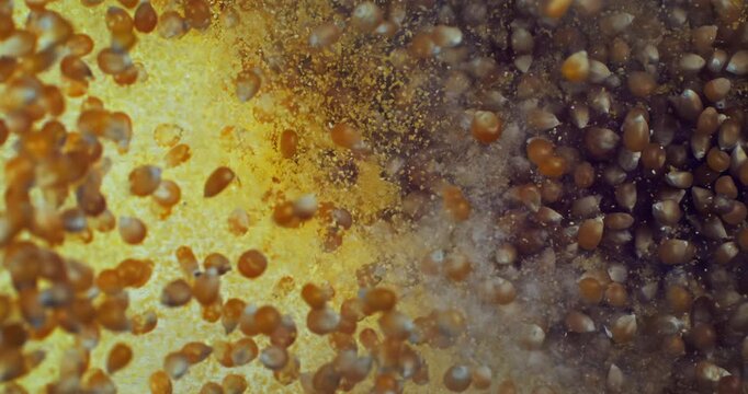 Explosion of raw corn kernels rising upward through cornmeal in ultra slow motion. Cinematic top down view at 1000fps with dramatic light.