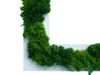 L-shaped green wall art, moss, and plants.  White frame
