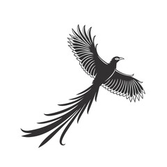 Elegant Bird in Flight A Stunning Black and White Silhouette Depicting Grace and Freedom on a White Background