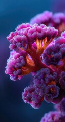 Close-up of a vibrant,  frosted,  purple flower cluster.  Detailed  textures.  Soft,  glowing,  orange  highlights.  Blurred  background