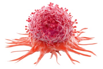 Cancer cell magnified, vibrant pink-red, spiky projections