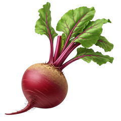 Fresh beetroot with green leaves isolated on transparent background