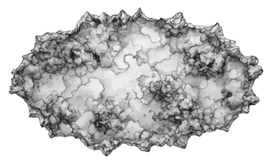 Abstract grayscale oval form with textured, mottled interior