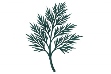 Obraz premium Detailed illustration of a fresh dill sprig, highlighting its vibrant green leaves and feathery texture against a transparent background