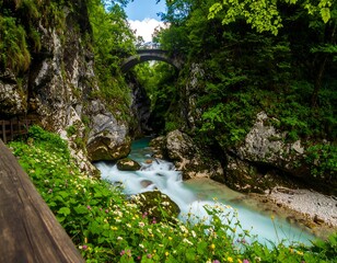 Lush canyon with flowing river and bridge