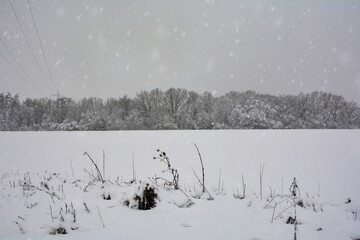 Snow-covered landscape on a  cloudy winter day
