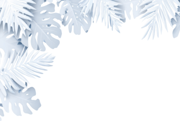 Light-gray, paper-like tropical leaves frame a black background