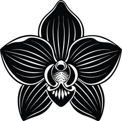 Abstract swirling light trails in vibrant neon colors create a dynamic and energetic futuristic cityscape background