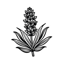 Geometric abstract pattern of interconnected shapes and lines creating a modern textured design