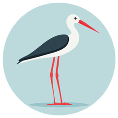 Elegant Stilt Bird Illustration with Long Legs, Red Beak and Black Wing Plumage