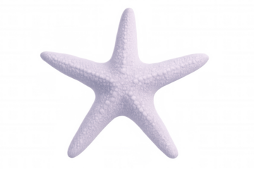 3d rendering of a light purple starfish isolated on transparent background, perfect for marine-themed projects