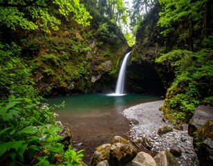 Lush waterfall cascading into a tranquil pool nestled within a verdant forest