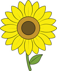 Fototapeta premium Bright yellow sunflower bloom vector illustration scalable eps for floral designs and nature graphics transparent background