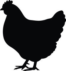 Silhouette chicken farm bird isolated livestock domestic fowl poultry vector