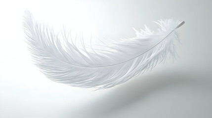 Obraz premium Pristine white feather illustration for nature and minimalist designs
