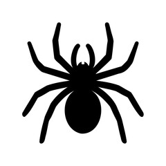 Simple Black Spider Silhouette with Eight Legs on White Background Graphic