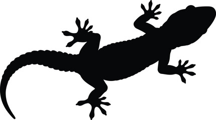 Silhouette gecko climbing on nature wildlife reptile vector