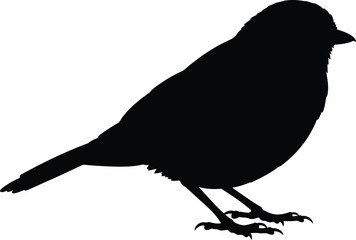 Silhouette of a small bird standing isolated on a vector