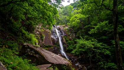Lush waterfall cascading down rocky terrain