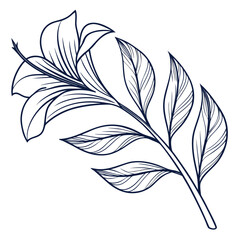 Minimalist Line Art Leaf 1