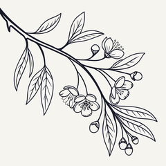 Botanical Branch Outline