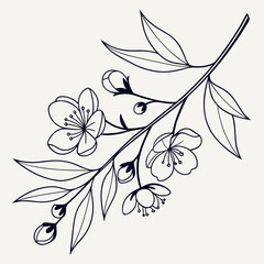 Botanical Branch Outline 1