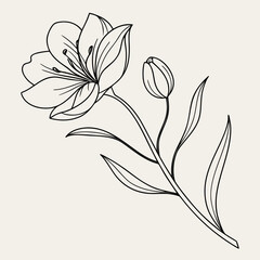 Line Art Flower Bloom