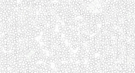 Obraz premium Intricate geometric mesh pattern with circular nodes in monochrome