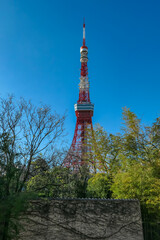 Four servings of Hiroshima-style okonomiyaki sizzle on large, dark teppanyaki griddle, each topped with perfect fried egg, benishoga ginger, and green seaweed powder, ready at Japanese food stall.