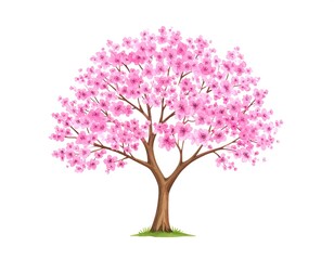 Obraz premium Pink cherry blossom tree illustration