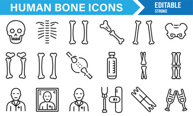 Human bone icons in line art style with skull, ribcage, spine, pelvis, fracture, and X-ray symbols