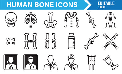 Linear vector icons set of human bones including joints, vertebrae, doctor, and medical symbols