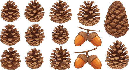 Autumn Pine Cones and Acorns Vector Set Featuring Natural Elements, Seasonal Forest Decor, Botanical Illustration for Nature and Fall Themes © Creative Mind
