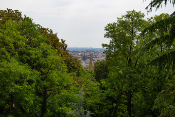 The view of Budapest through the green trees.