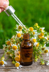 Chamomile for alternative medicine and cosmetics. Selective focus.