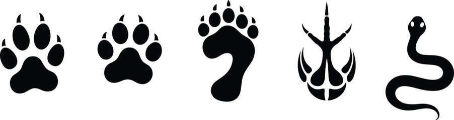 Animal tracks and paw print vector set – dog, cat, bear, bird claw, snake trail silhouette isolated illustrations © Shahadot Creatives