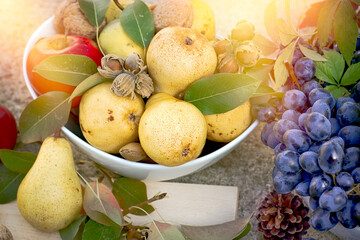 Autumn harvest, organic fruits, ripe pears and grapes in bowl, autumn still life