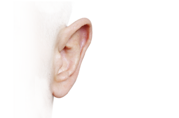 Close-Up Isolated Human Ear PNG with Transparent Background – Hearing and Anatomy Detail
