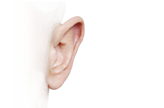 Close-Up Isolated Human Ear PNG with Transparent Background &ndash; Hearing and Anatomy Detail
