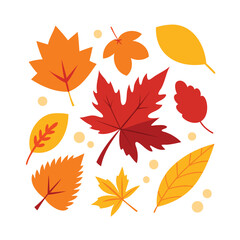 Naklejka premium Vibrant collection of autumn leaves in various shapes and colors